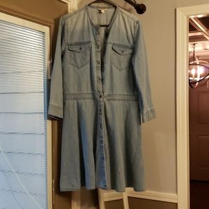Jean dress